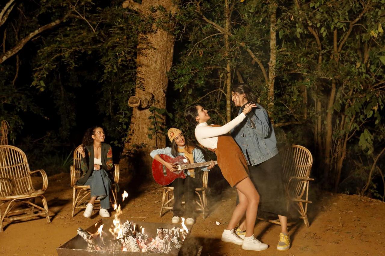 Whistling Woodzs Resort Дандели Экстерьер фото