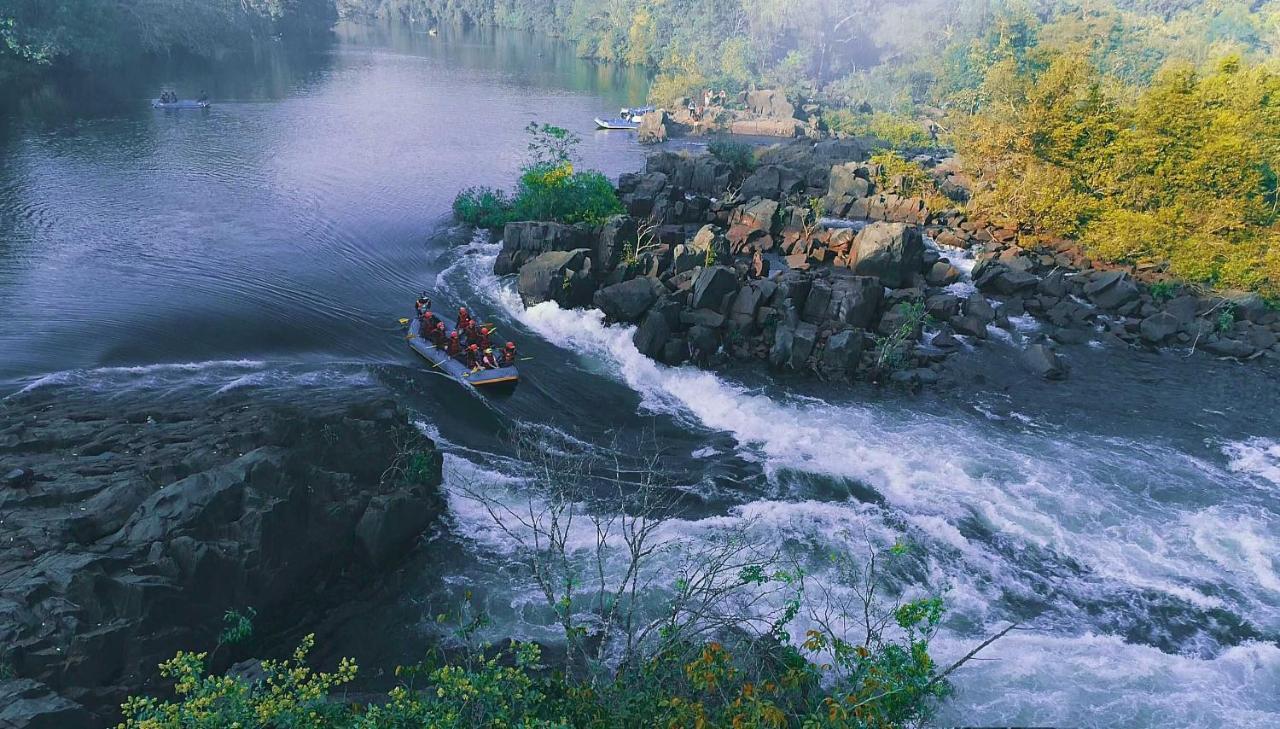 Whistling Woodzs Resort Дандели Экстерьер фото